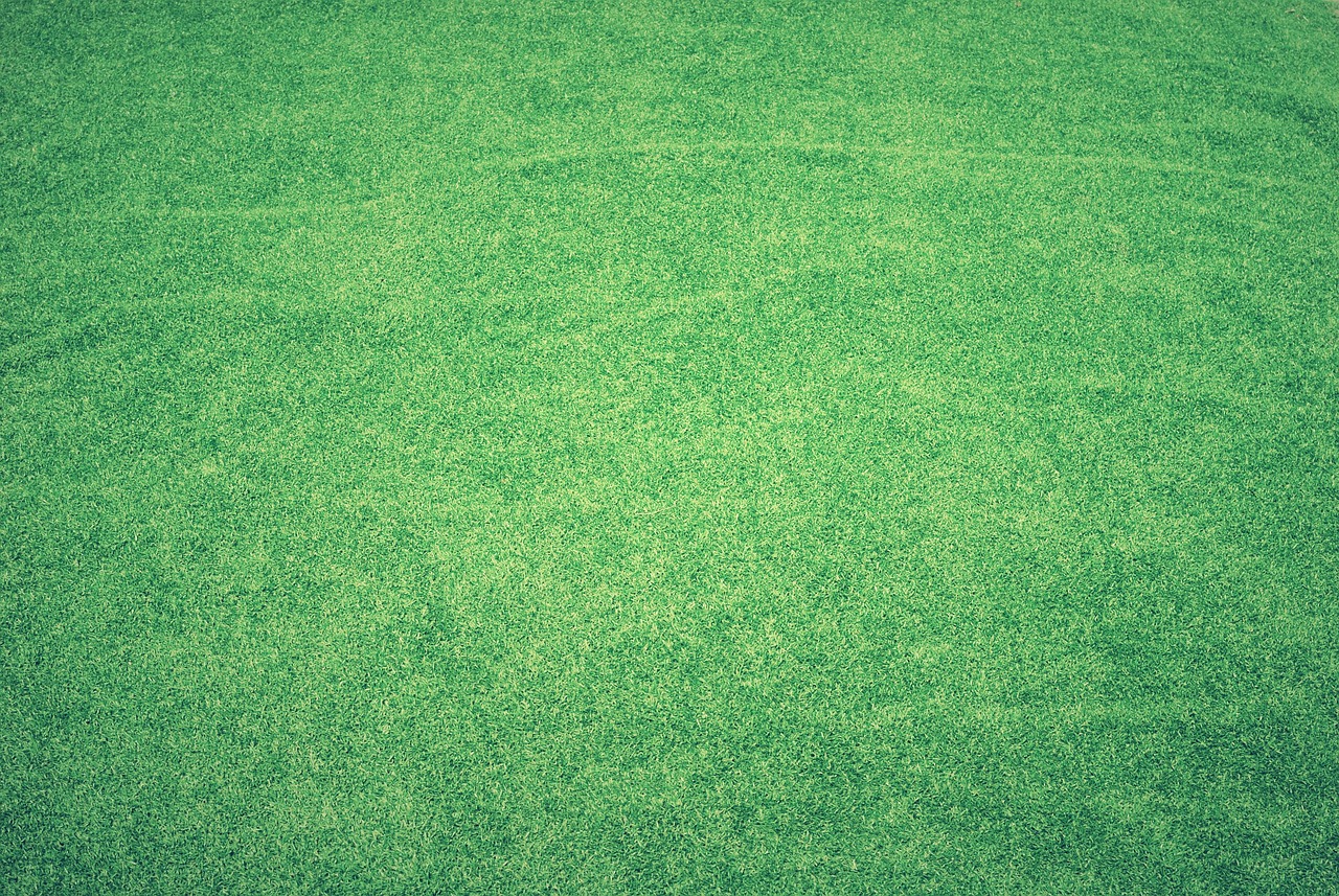 A thick, freshly cut green lawn